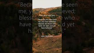 John 2029 Jesus said Blessed are those who have not seen yet believed dailybibleverse [upl. by Manvel]