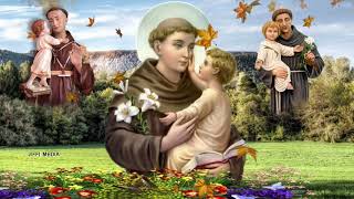 Prayer of St Anthony  புனித அந்தோணியார் ஜெபம் [upl. by Rentschler]