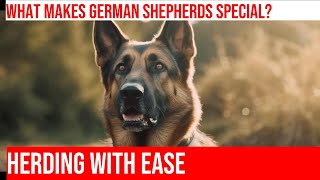 Herding Sheep with German Shepherds Precision amp Control [upl. by Imij69]