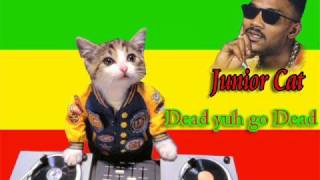 Junior Cat  Dead Yuh a go Dead [upl. by Eivla]