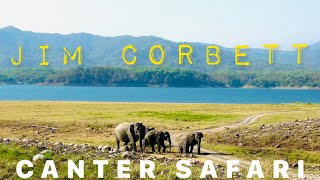 Canter Safari at Jim Corbett National Park  Dhikala Zone  Tiger amp Elephant Sighting  Wildlife [upl. by Landers]