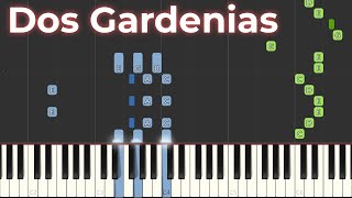 Dos Gardenias Piano Tutorial Synthesia [upl. by Eitsud]