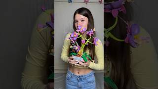 ЧУДОВІ КВІТИ WISEPLAY Orchid Flower КОНСТРУКТОР WISEPLAY [upl. by Dahsra]