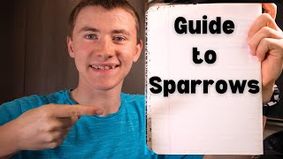 Learn How to Easily Identify the Sparrows of North America [upl. by Pegeen]