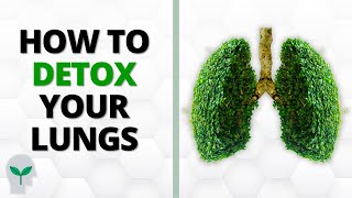 Do THIS to Detox Your Lungs at Home  Easy StepbyStep [upl. by Magill977]