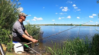 УТРО РАССВЕТ Рыбка КЛЮЕТ А летний денек радует своими красками и природой [upl. by Cumings15]