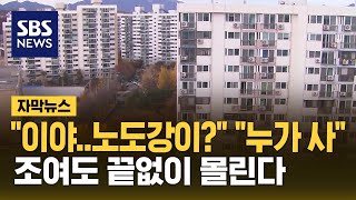 노도강 평당 4천 더 비싼 안양…조여도 끝없이 몰린다 자막뉴스  SBS [upl. by Atirehc]