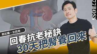 30天回春術，把腎養回來！男壯陽、女抗老，年輕10歲的秘訣，越早做效果越好！【77老大】 [upl. by Rettig]