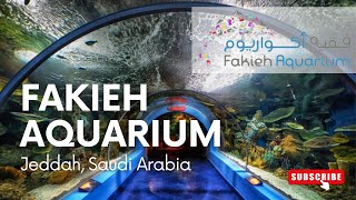 Whats inside the Fakieh Aquarium  Jeddah Saudi Arabia  CD Official Vlogs [upl. by Rollie]