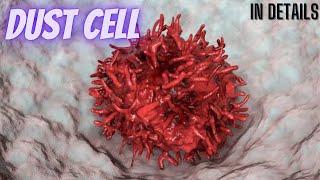 Dust cells  Alveolar Macrophages  in details Cytology part 45 [upl. by Ennairrac]