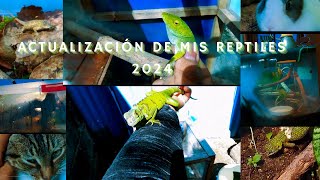 Actualización de Mis Reptiles I 2024 [upl. by Surtemed683]