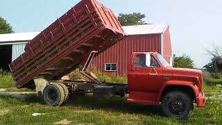 1974 Chevy C60 Grain Truck [upl. by Tirrag]