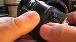 Canon EF 50mm f25 Compact Macro Lens Review [upl. by Novaat]