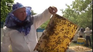 Pur și Simplu La prisaca lui Grigore ApiculturaBeekeeping [upl. by Chak]