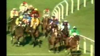 Horse Racing 1981 Stayers Hurdle Cheltenham Full Race [upl. by Trisa828]