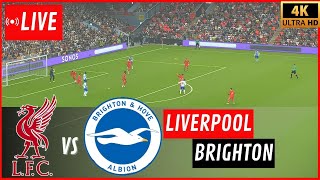 LIVE  Liverpool vs Brighton amp Hove Albion  English Premier League 2024  Live EPL eFootball Score [upl. by Yreffej198]