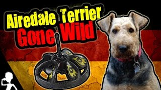 AIREDALE TERRIER GONE WILD  Get Germanized [upl. by Ettelocin222]