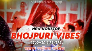 Peni me chheni satai diyo re  bhojpuri song awdheshpremi slowed amp reverb bhojpuri Lofi No 1 song [upl. by Anaidirib]