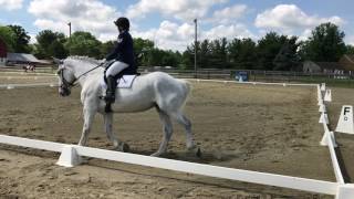 Dressage  Novice Test A [upl. by Stilwell]