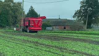 Beet season sugar bigmachinery beet harvest [upl. by Eicirtap]