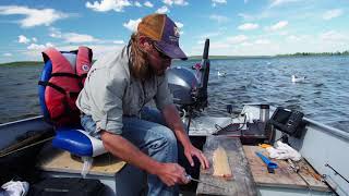 How to fillet a Northern Pike  Boneless with no Y Bones [upl. by Urbanna]