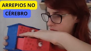 ASMR GATILHOS DE EMBALAGENS QUE VAI ARREPIAR SEU CÉREBRO [upl. by Niatsirk783]