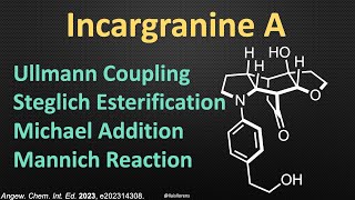 Total Synthesis of Incargranine A [upl. by Dame783]