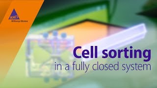 Cell sorting in a fully closed system [upl. by Moorish738]