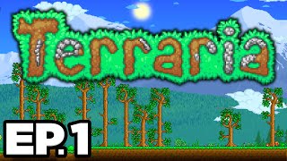 Mage Loadouts Guide for Terraria 1449 [upl. by Sevein]