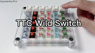 TTC Switches Sound Test [upl. by Assilana450]