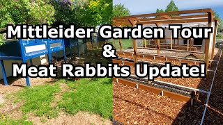 Mittleider Garden Tour amp Meat Rabbits Update [upl. by Airpac833]