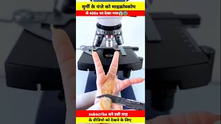 Chicken feet🐾पंजा undar the microscope।meat view facts shortvideo shorts short shortsvideo [upl. by Togram]