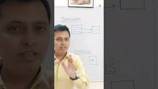 Diffusion and Osmosis  Class 9 and 10 Cbse  explained in Hindi [upl. by Granoff]