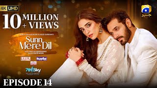 Sunn Mere Dil EP 14 Eng Sub Digitally Presented by LUX  Happilac Paints and Ujooba Beauty Cream [upl. by Eselahs]