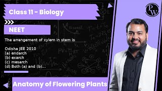 The arrangement of xylem in stem is Odisha JEE 2010 a endarch b exarch c mesarch d Both [upl. by Mloc]