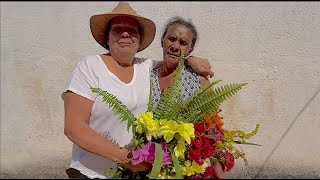 A TAL DA FRANGA NA CASA DA QUITANDA  PARTE 1  SÃO THOMÉ DAS LETRAS DISTRITO DE SOBRADINHO [upl. by Olnee456]