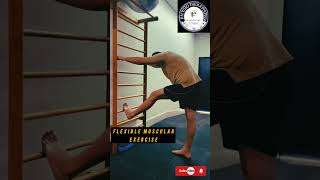 Flexible muscular rehab shorts flexible viralphysiotherapist9536 [upl. by Caria264]