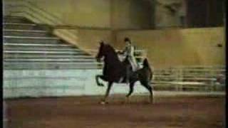 Artificial Gaits of Horses [upl. by Julita]