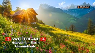 Gimmelwald Switzerland 🇨🇭 Swiss Village Tour  Most Beautiful Villages in Switzerland 4k video walk [upl. by Hastie]