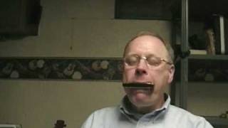 jigs on the Harmonica no hands or rack by Mark Panfil [upl. by Pablo]