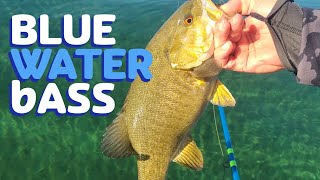 FlyFishing Great Lakes Smallmouth Bass [upl. by Nade]