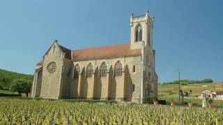 The Wines of Burgundy [upl. by Akenit273]