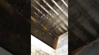 Stagnant Condensate Water from Air conditioning unit accleaning airconditioningmaintenance [upl. by Adnwahsar]