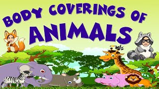 Body Coverings of Animals  Science  Kindergarten  Teacher Beth Class TV [upl. by Etnoel]