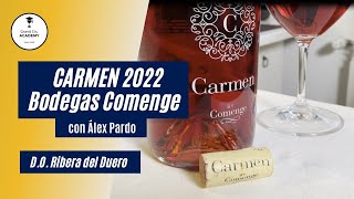 VINO CLARETE CARMEN COMENGE 2022 DO RIBERA DEL DUERO [upl. by Ahsei]