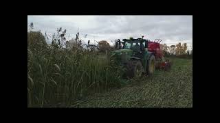 Semis direct de féverole dans un couvert végétal de sorgho fourrager et de crotalaire [upl. by Mort34]