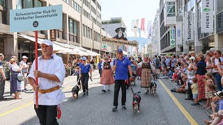 Der Schweizerische Klub für Entlebucher Sennenhunde SKES am 31 Eidg Jodlerfest in Zug [upl. by Card]