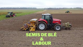 Semis de blé🌾 amp Labour  Charente Maritime [upl. by Anaitat]