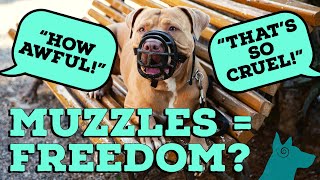 Why should I use a muzzle Are muzzles cruel MUST WATCH [upl. by Amrac]