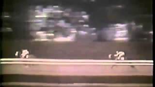 Video Secretariat Belmont Stakes 1973 [upl. by Siaht]